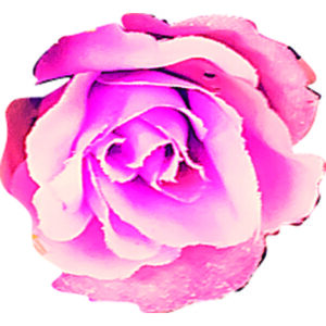 Closure seal 2