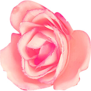 Closure seal 1